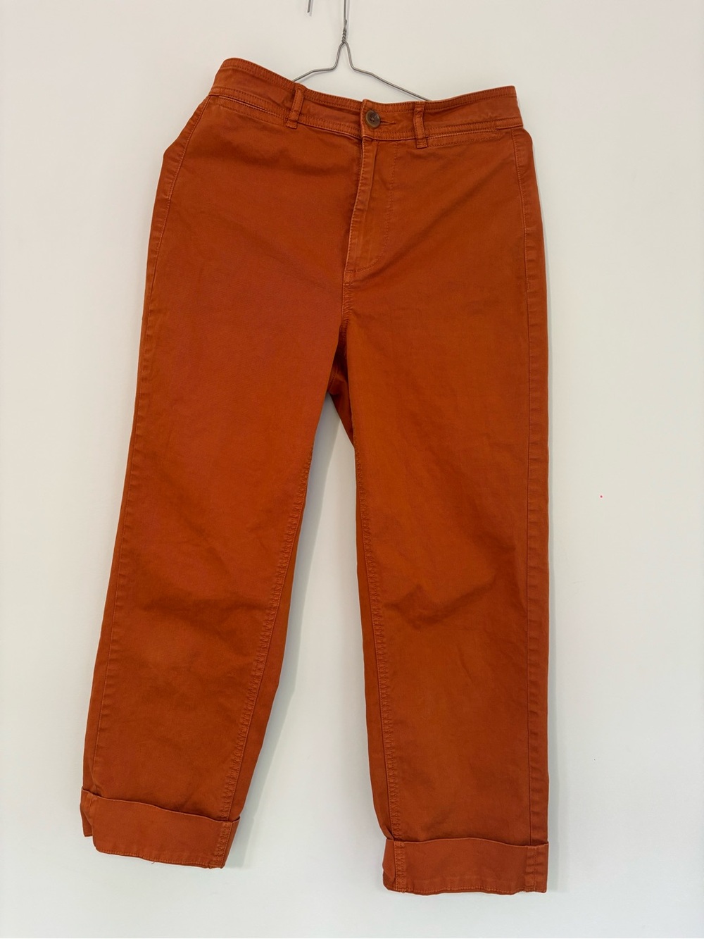 Everlane Terra Cotta Straight Leg Cotton Pants